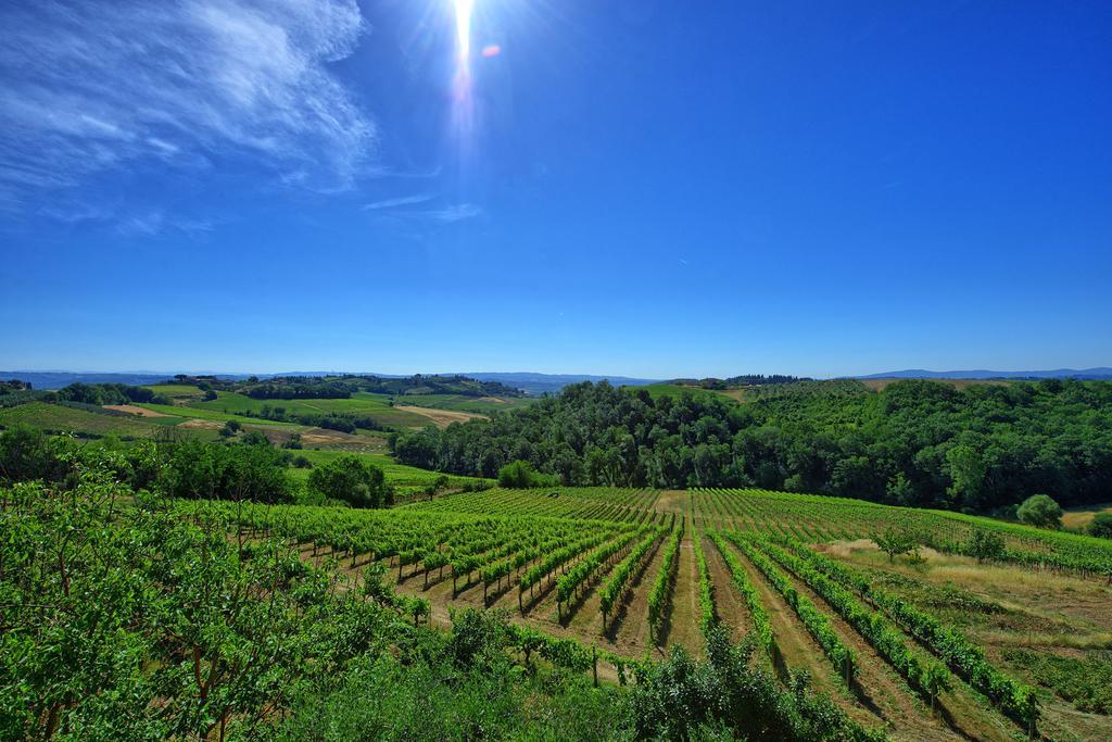 Azienda Agricola Fornacelle 圣吉米纳诺 外观 照片